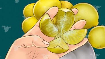 Top Player Magazine santé citron