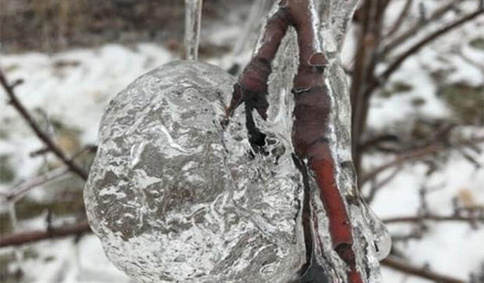 123143535 2376465709155855 6783452320067379237 n