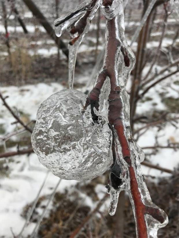 123143535 2376465709155855 6783452320067379237 n