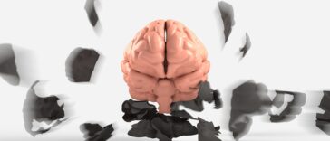 brain 3439067 1280