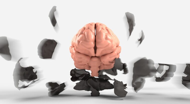 brain 3439067 1280