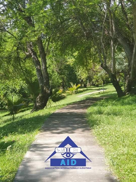 FB IMG 1616013568869