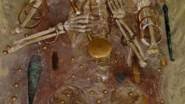 Le squelette au pénis d'Or 27 202474993 4265106880176193 7150100652706554936 n