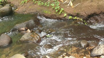 Rivière 22 149674334 174252034497774 3029482467327954896 n