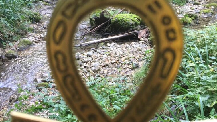 La matrice naturelle 13 IMG 20210928 WA0014