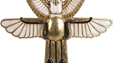 FB IMG 1634070114863