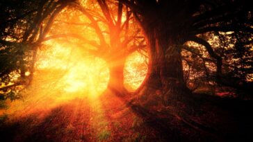 trees g105b9e258 1280