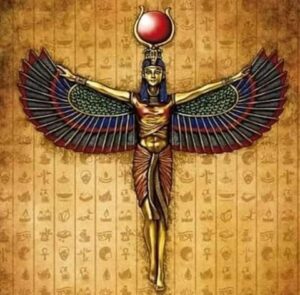 FB IMG 1649537480584