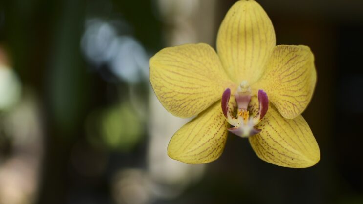 Le Langage des Figures Géométriques 10 IMG 3113